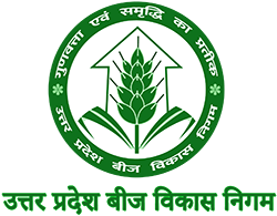 UPBVN Logo